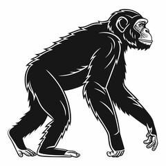 Chimpanzee vector silhouette black design white background © MdMajidul