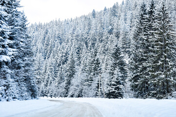 An empty road through a snow-covered spruce forest. The concept of winter travel.