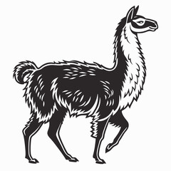 Alpaca vector silhouette black design white background