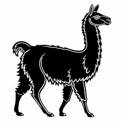 Alpaca vector silhouette black design white background