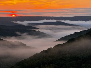 morning fog