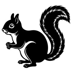 Cute  Line Art Squirrel Silhouette Black Vector Illustration