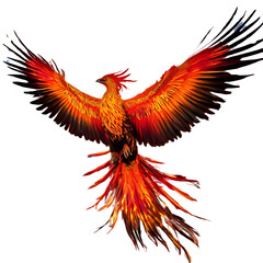 Fototapeta premium phoenix isolated on a transparent background