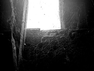 Huge and complicated spider webs spread beneath the roof tiles, with sunlight streaming through the...