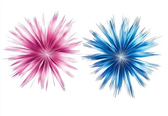 Fototapeta premium Abstract Pink and Blue Spiky Flowers Burst Against White Background.