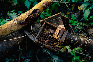 A broken birdhouse in the woods