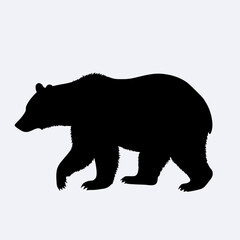 Bear silhouette on white background