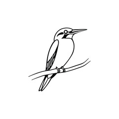 Kingfisher bird silhouette, Isolated black vector design stock bird on white background stock illustration