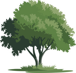 Obraz premium a tree with green leaves