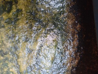 Cement floor is mossy and wet due to rainwater