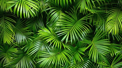 tropical palm leaves seamless pattern wallpaper
