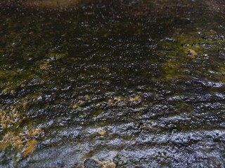 Cement floor is mossy and wet due to rainwater