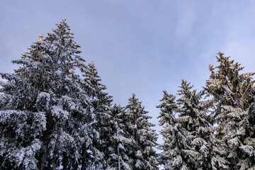 Kleiner Winter Spaziergang vor der Haustür in Schmalkalden mit einem herrlichen Sonnenuntergang - Thüringen - Deutschland