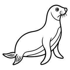 Cute  Line Art Sea Lion Silhouette Black Vector Illustration