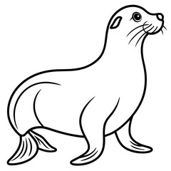 Cute  Line Art Sea Lion Silhouette Black Vector Illustration