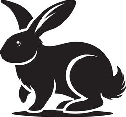 Black and white rabbit