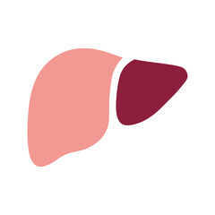 Liver icon