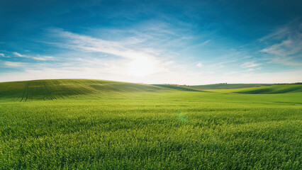 Obraz premium Beautiful spring landscape with green field and blue sky with white clouds
