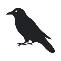 Silhouette of crow