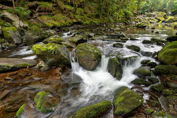 Fototapeta premium Long exposure of a waterfall on the East Lyn river at Watersmeet in Exmoor National Park