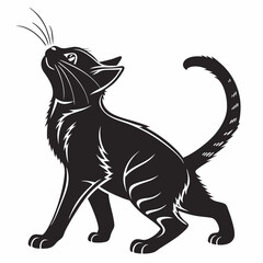 Cat vector silhouette black design white background