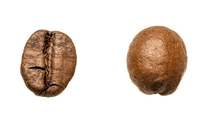 Two roasted coffee beans, one showing the split, viewed from above against a black background. Rich brown tones and detailed texture.