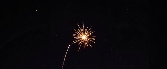 Bright firework exploding in night sky