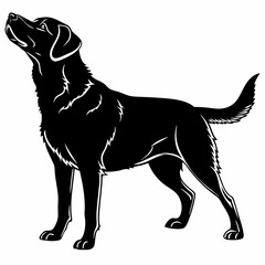 Dog vector silhouette black design white background