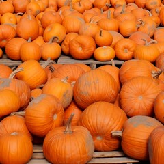 A close-up photo of a large pile of vibrant orange pumpkins stacked on wooden pallets, ready for the autumn season.