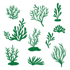 Fototapeta premium set of algae icons isolated on white background