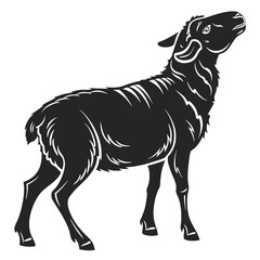 Sheep vector silhouette black design white background