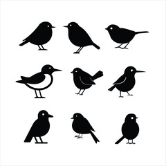 set of birds on white