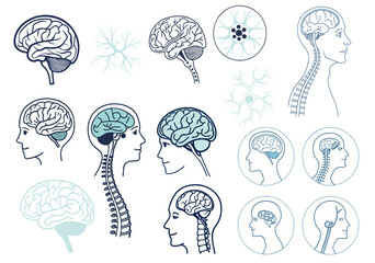 Collection of modern and flat design icons nervous system, featuring a human brain, minimal style 