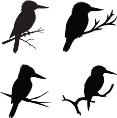 Kingfisher bird silhouette, Isolated black vector design stock bird on white background stock illustration