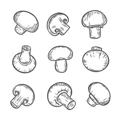 Set of mushrooms in engraving style