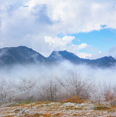 mountain valley with forest in snow dense mist and clouds, winter mountain travel  scene
