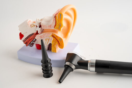Otoscope with model for audiologist or ENT doctor use otoscope checking ear and treat hearing loss problem.