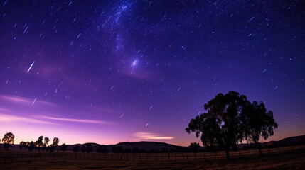 Fototapeta premium Starry Night Sky with Shooting Stars over Landscape