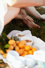 Relaxing Picnic in the Grass