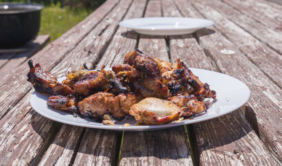 A white plate with charred pieces of meat on a wooden table at a picnic site.