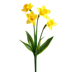 a vase with yellow flowers on a transparent background, PNG image, PNG file, Generative art.