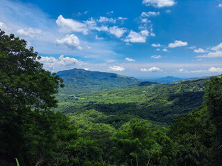 Paisaje forestal en Oaxaca, México, Bosque de Pino, selva tropical