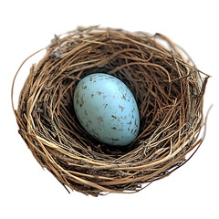 Obraz premium Bird's Nest with Eggs Isolated on Transparent Background