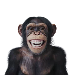 Velours gordijnen a portrait of a monkey smiling and showing his teeth PNG image, PNG file, Generative art. © Alloca Design Studio
