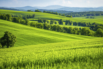 Obraz premium Lush green hills and fields create serene landscape under bright sky