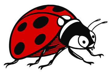 ladybird vector illustration