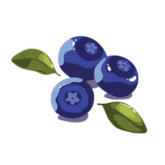 illustration of three blueberries with small leaves in flat style, in a summer mood
