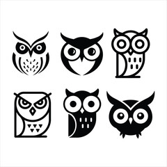 Best owl collection vector Shilytee design