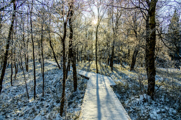 Kleine Winterwanderung an einem sonnigen Tag rund um die Wasserkuppe in der wunderschönen Rhön - Hessen - Deutschland