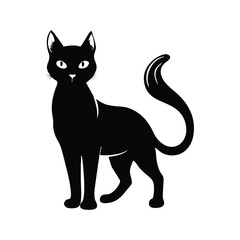 Fototapeta premium black and white cat